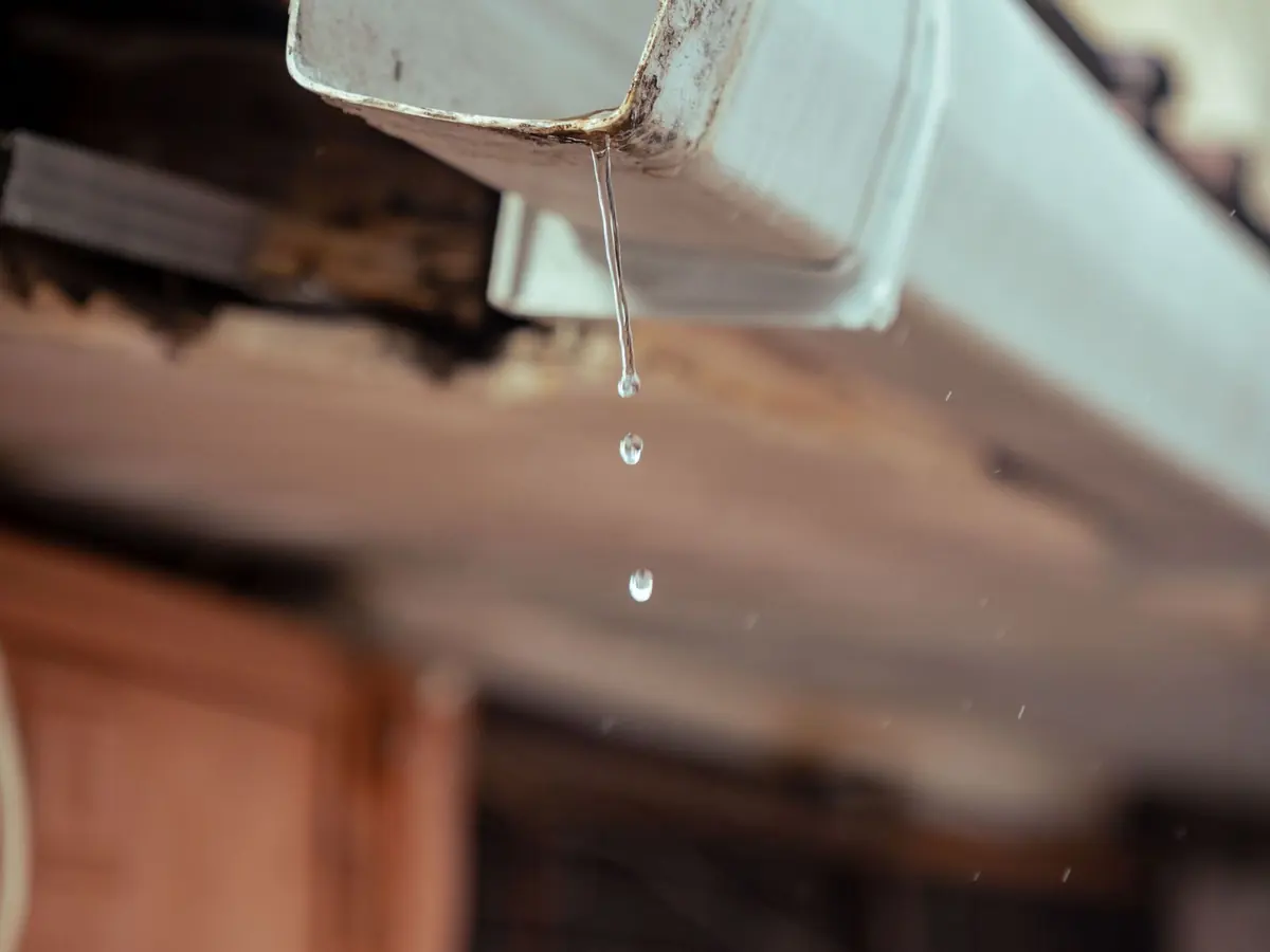Rainwater dripping from the edge of a house gutter beneath a wood soffit, droplets caught mid-fall